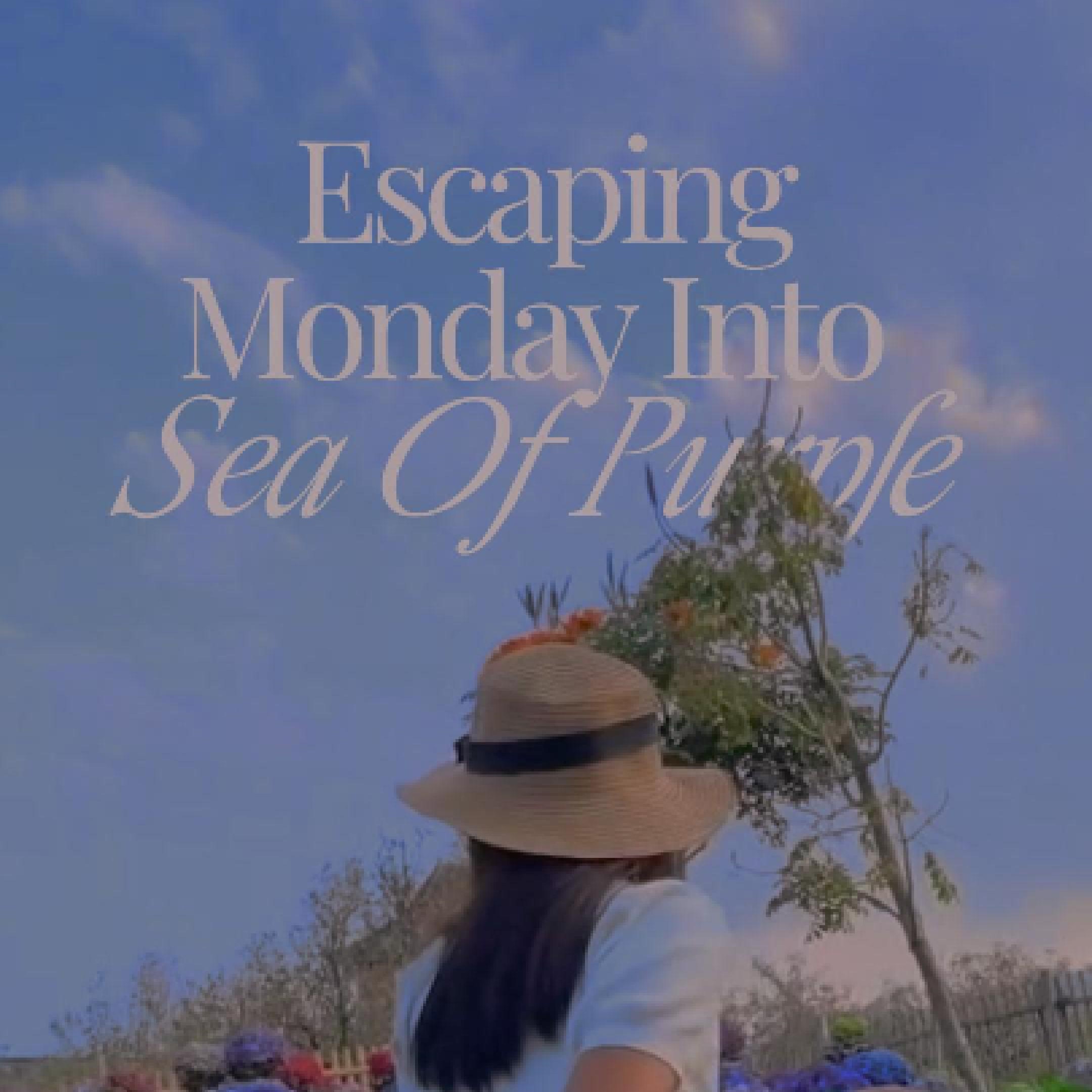Instagram reel cover
